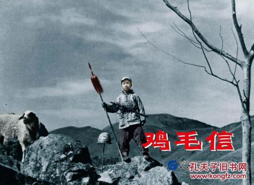 教师资格证认定学历证书编号必须填吗